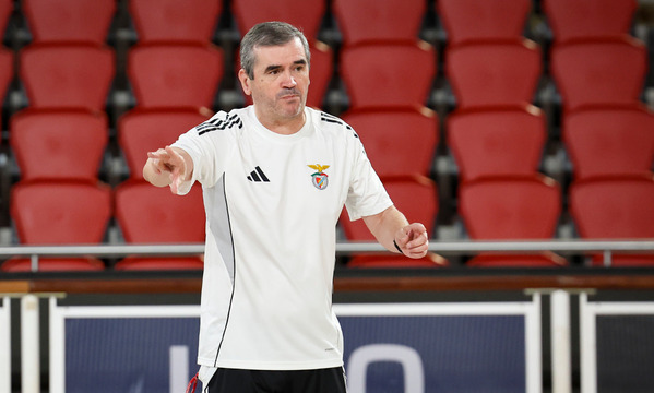 Basquetebol