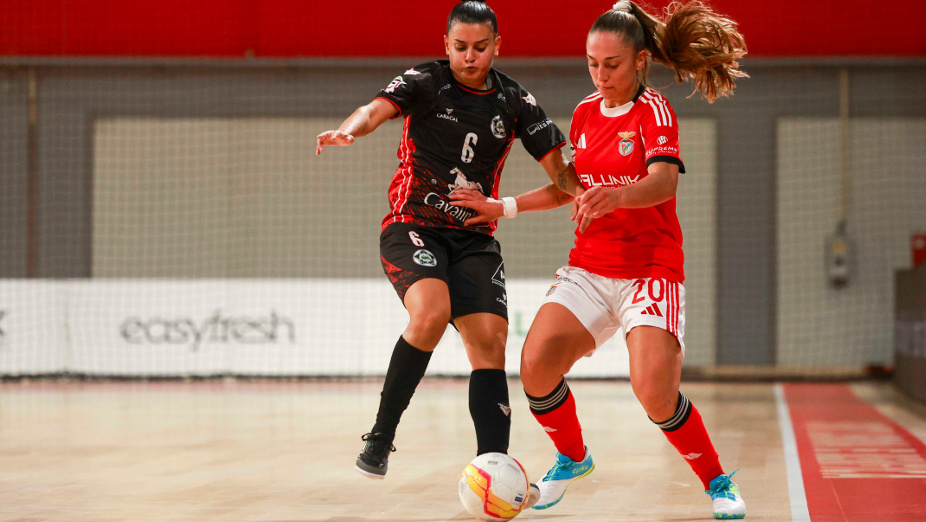 Benfica-Novasemente