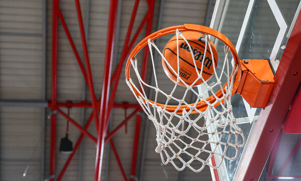 Basquetebol feminino