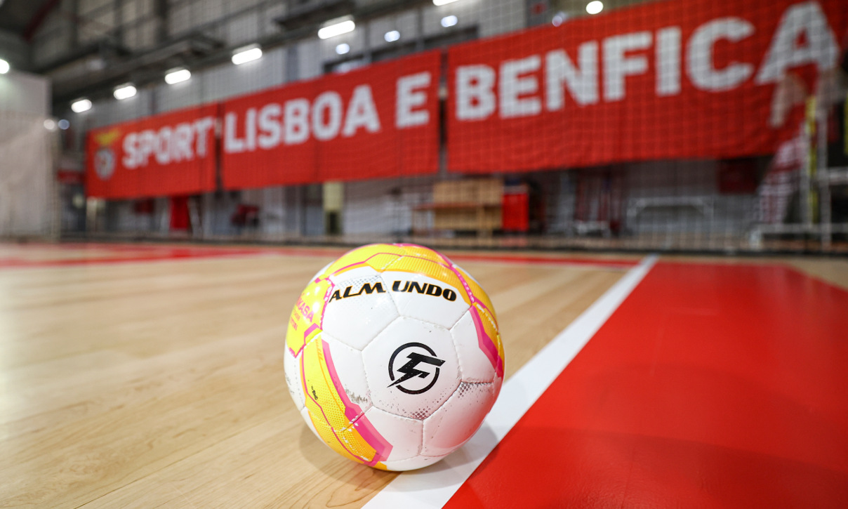 Genericas modalidades