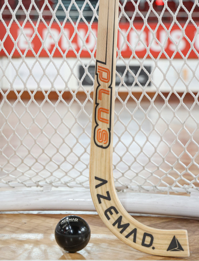 H&#243;quei em patins