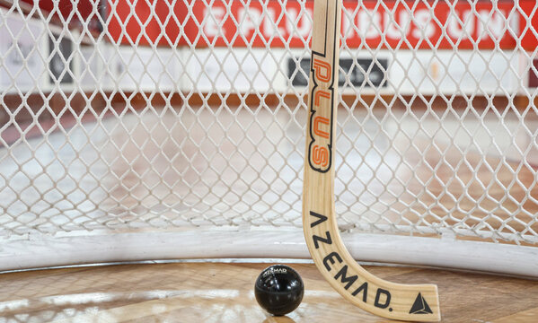 H&#243;quei em patins