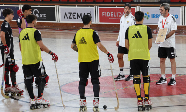 H&#243;quei em patins