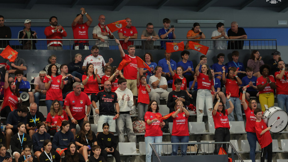 Adeptos do Benfica