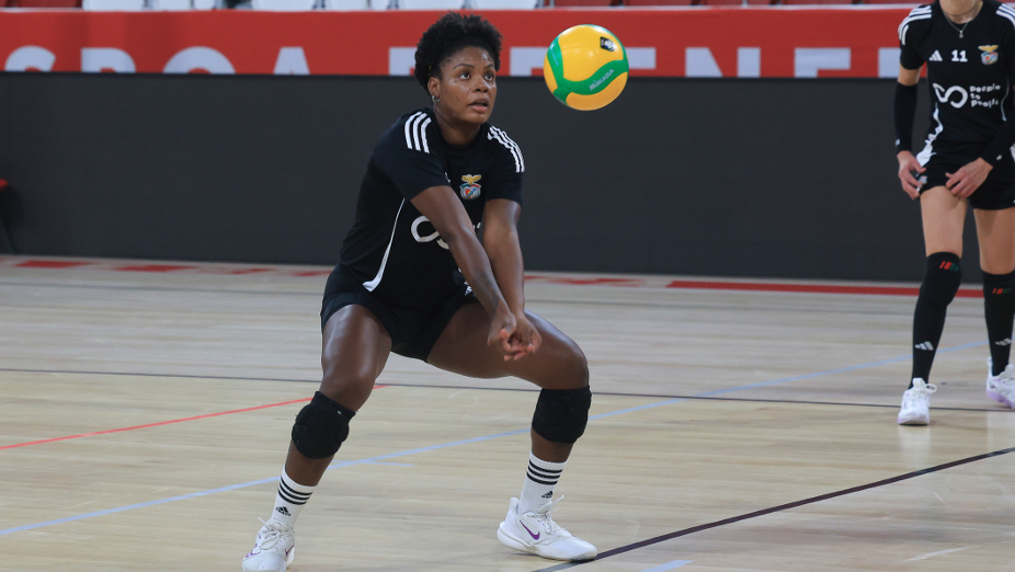 Benfica-OTP Banka Branik: antevisão