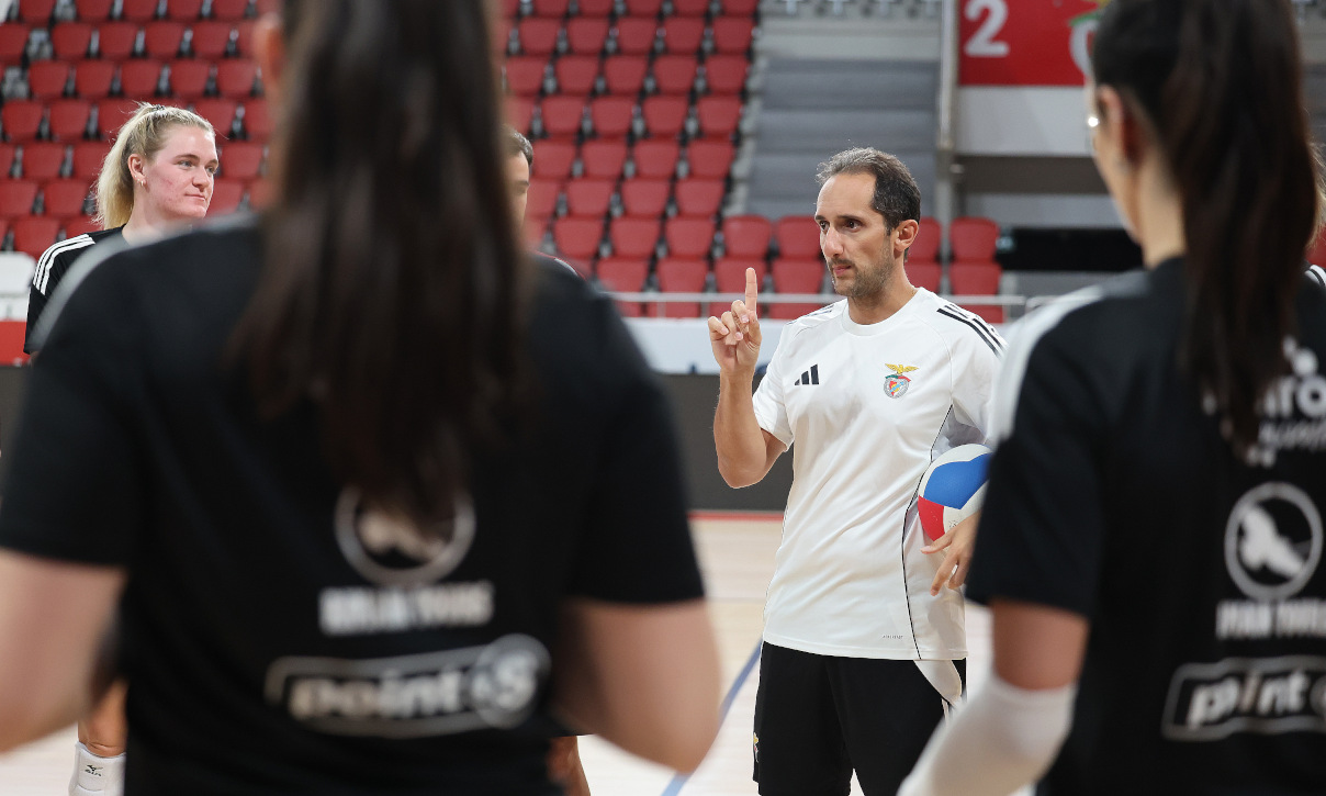 Voleibol feminino