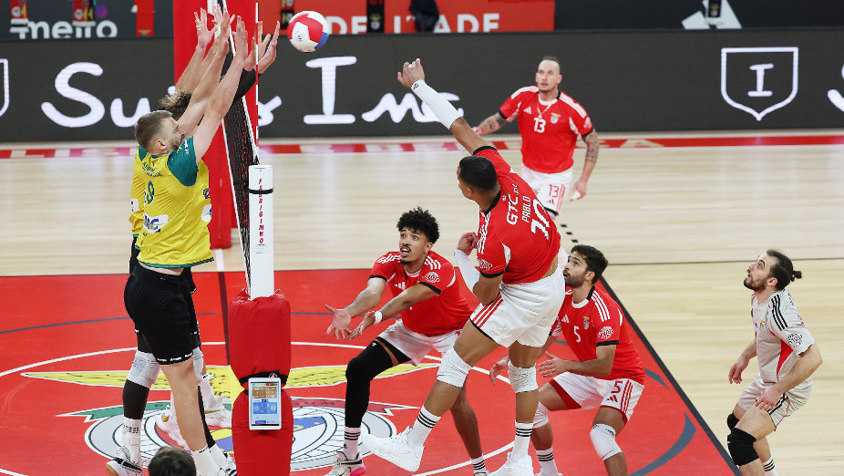 Voleibol