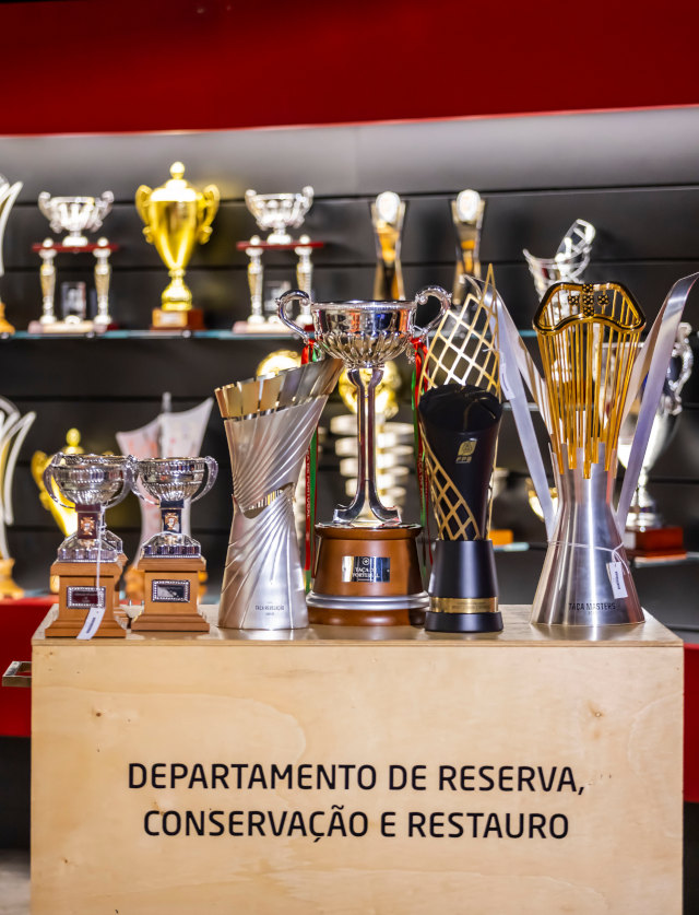 Museu Benfica – Cosme Dami&#227;o
