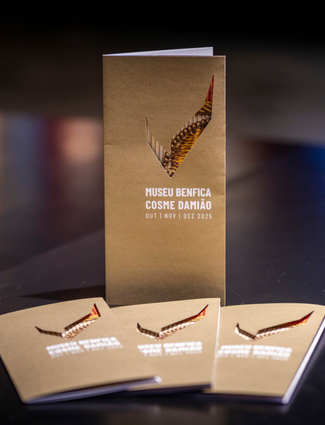 Museu Benfica – Cosme Dami&#227;o