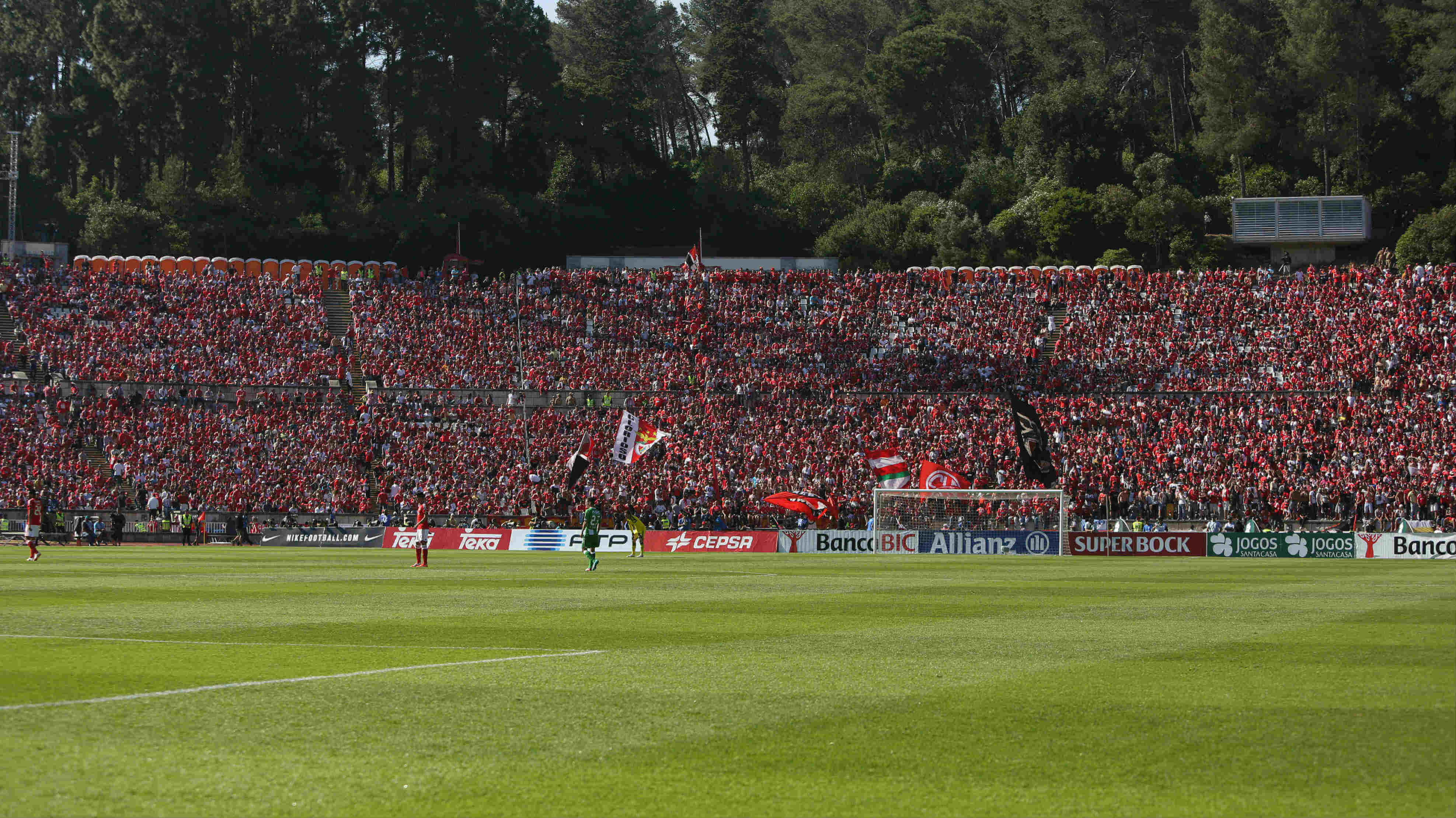 Adeptos do Benfica no Jamor