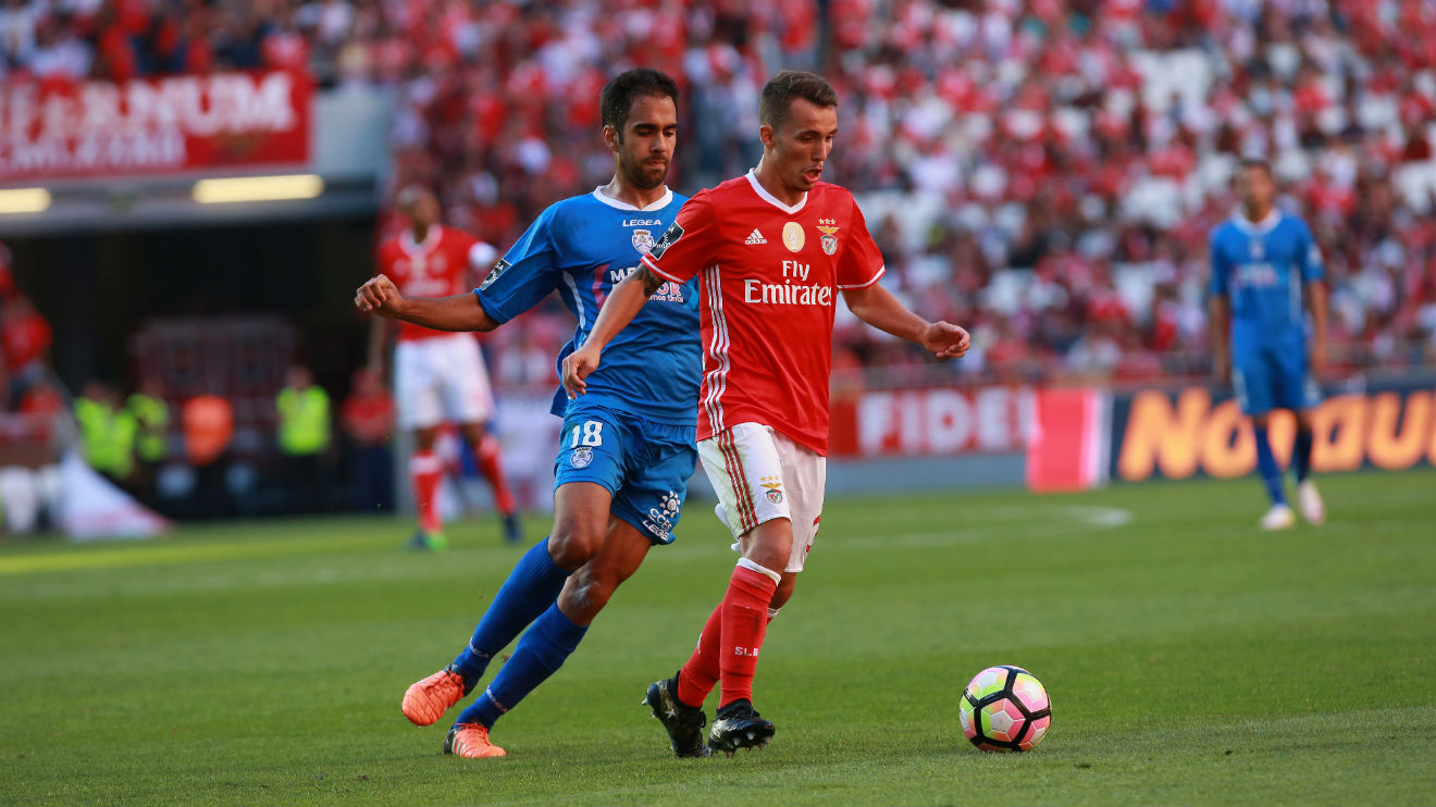 Grimaldo