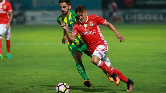 Cervi Tondela-Benfica