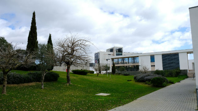 Caixa Futebol Campus