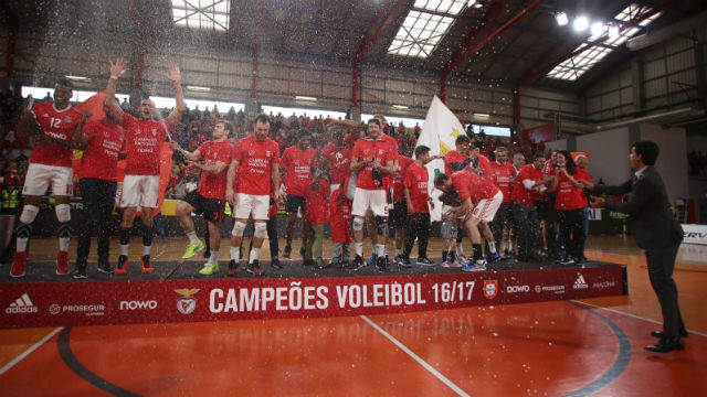 Voleibol