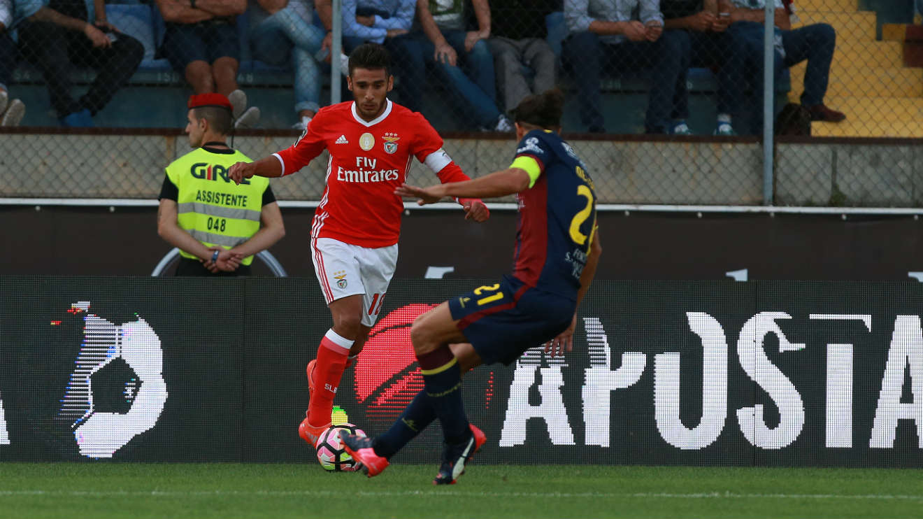Salvio