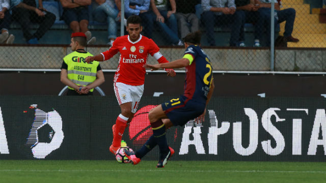 Salvio