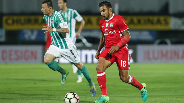 Salvio