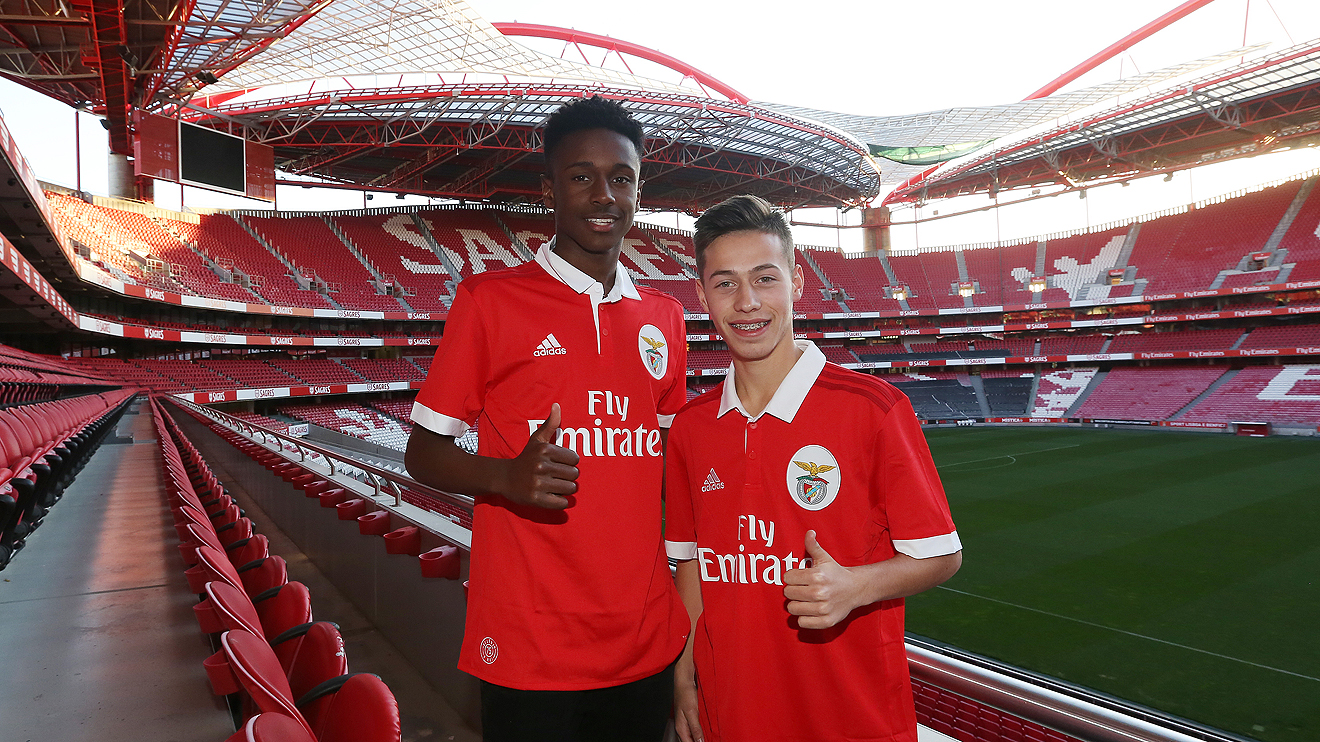 Rafael Afonso e Martim Ferreira 