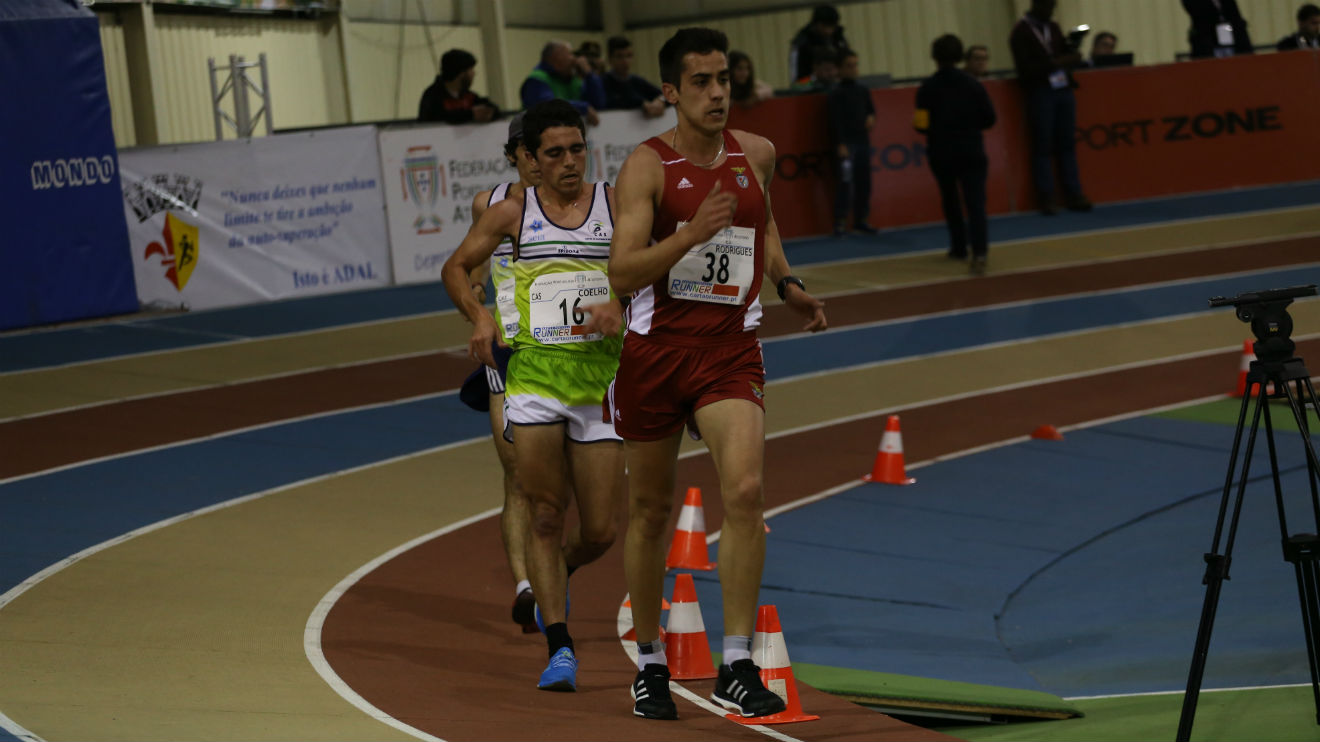 Miguel Rodrigues