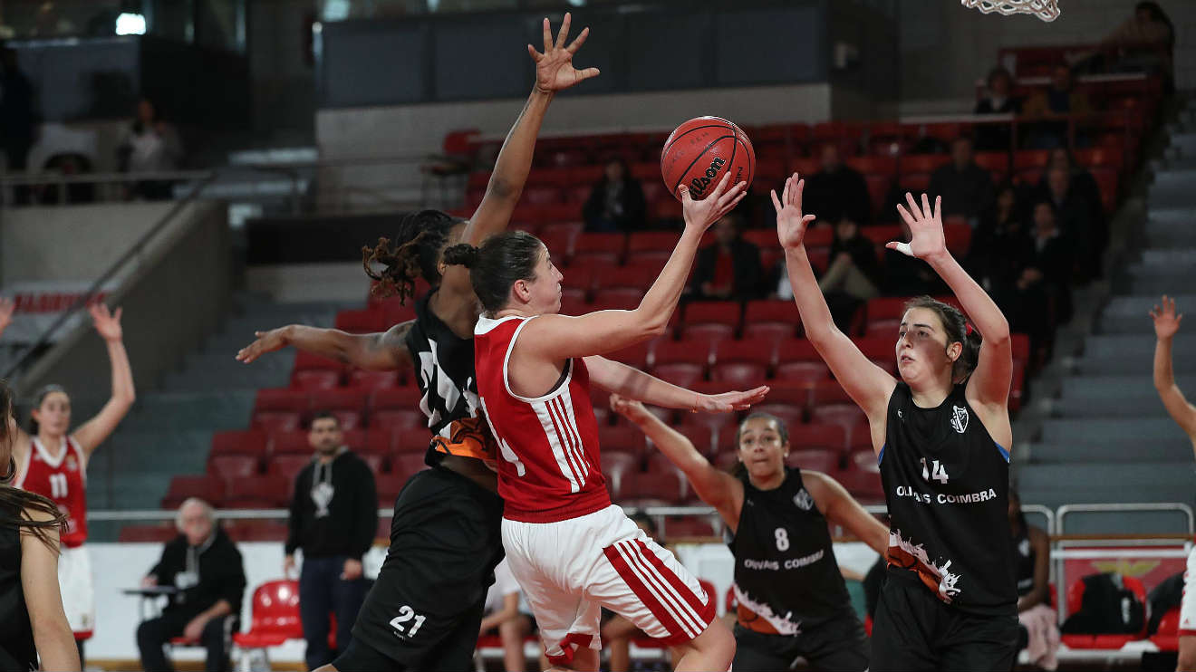 Basquetebol Feminino