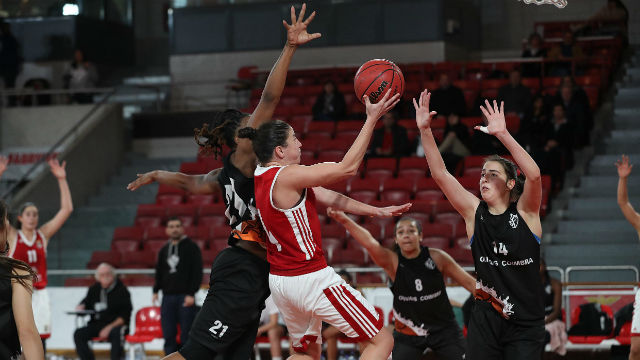Basquetebol Feminino