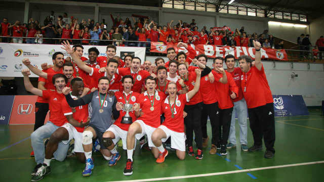 Voleibol