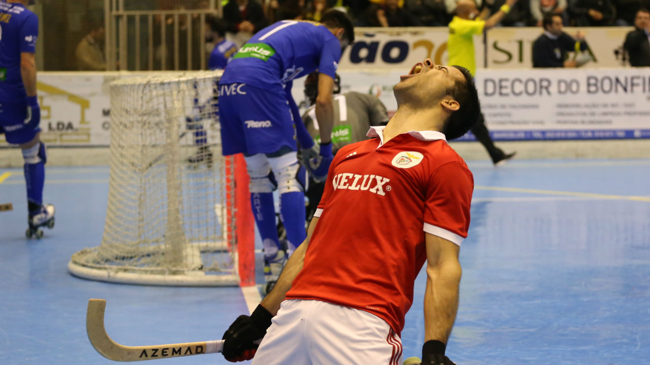 João Rodrigues