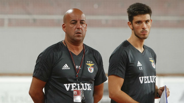 Pedro Nunes 