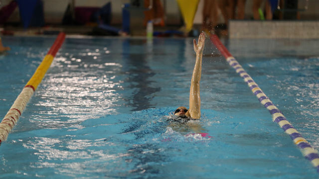 Diana Durães num treino no Complexo de Piscinas do Estádio da Luz