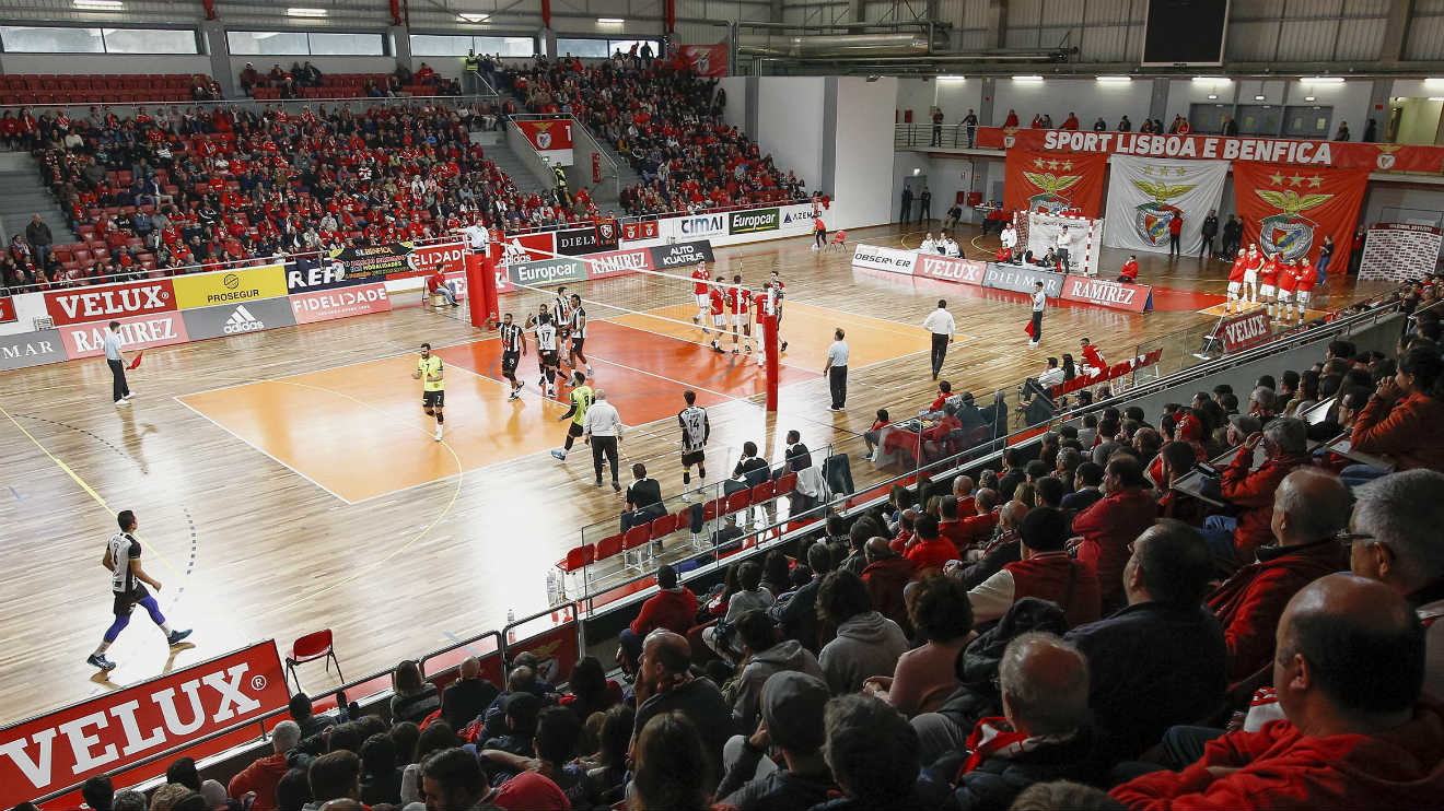 Voleibol