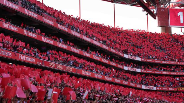 adeptos-benfica-cachecois-new_thumbnail