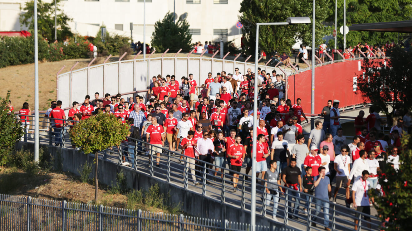 Adeptos do Benfica