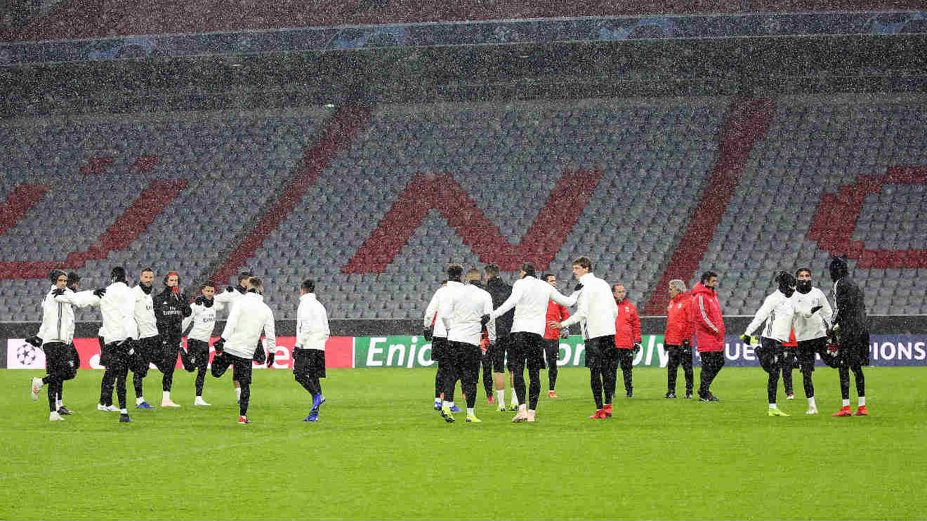 Treino