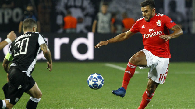 Salvio
