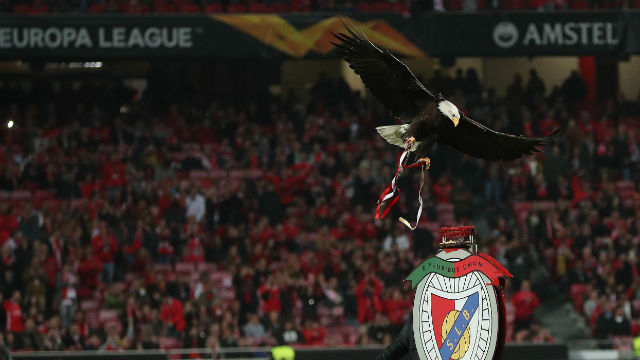 Benfica Eintracht Frankfurt Sale Of Tickets Sl Benfica
