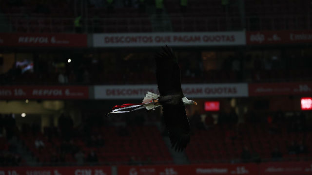 Benfica-Boavista