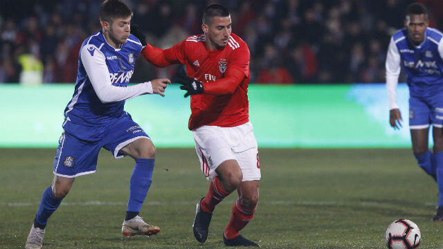 Montalegre-Benfica