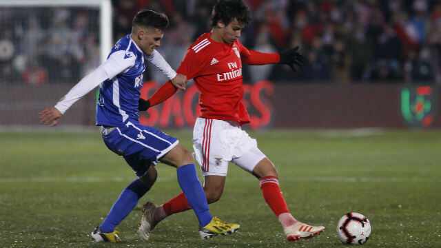Montalegre-Benfica