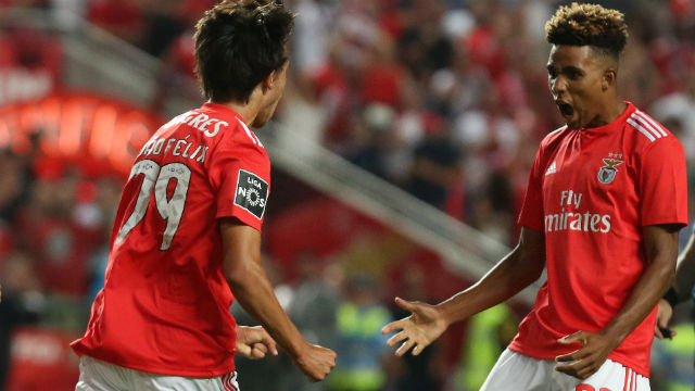 João Félix e Gedson