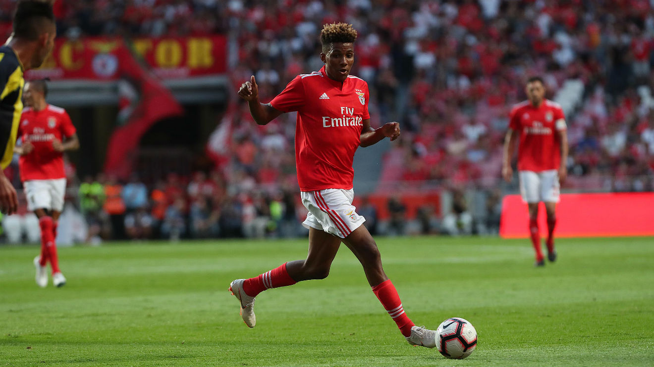 Benfica 3 1 Fenerbahce Agg 3 2 Bbc Sport