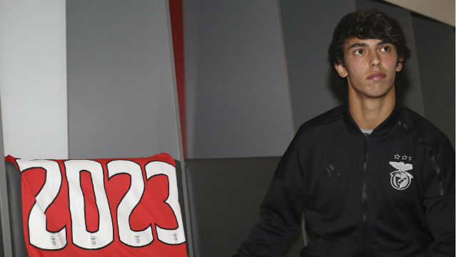 João Félix Renovação de contrato