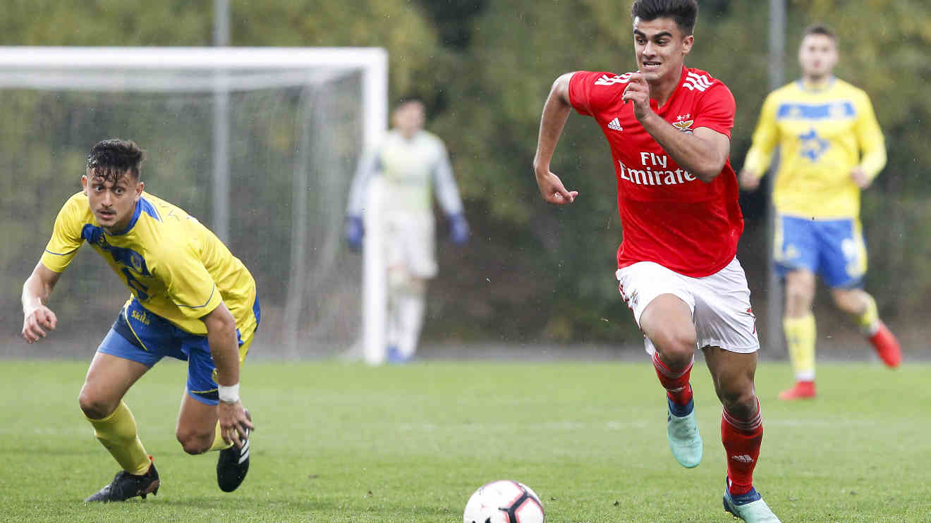 derby against sporting sl benfica