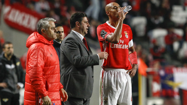 Luisão e Benfica