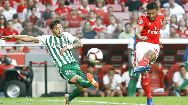 Salvio