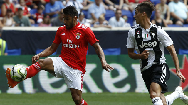 Salvio