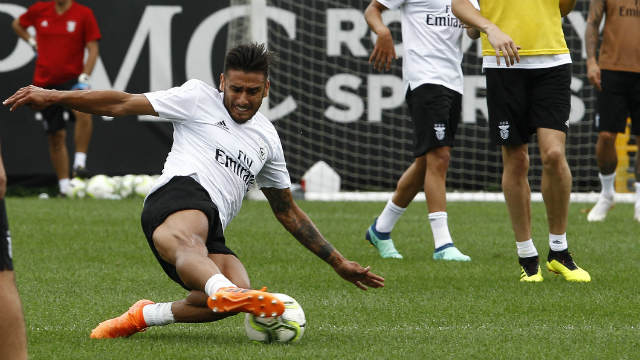 Salvio