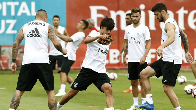 Treino