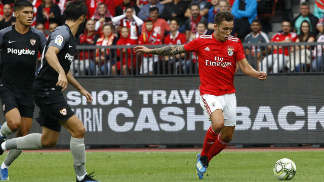 Grimaldo