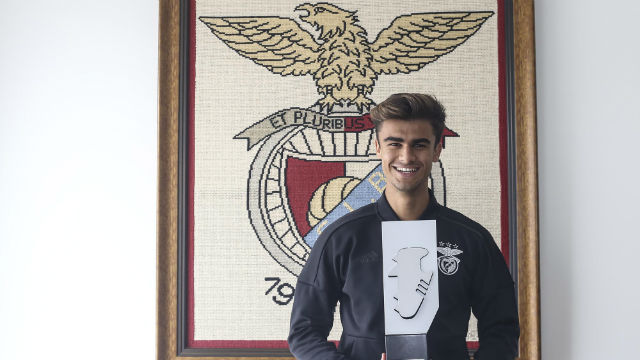 Jota