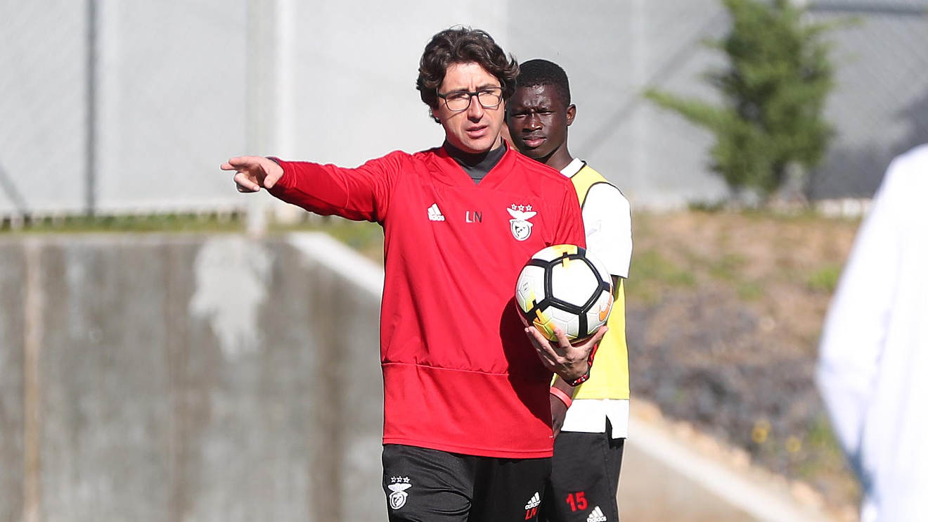 Antevisão Benfica-GilVicente